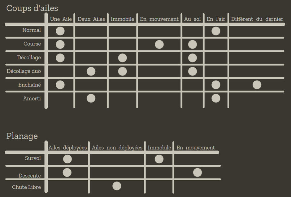 The different movements