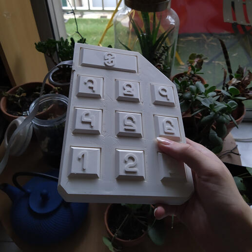 The game's homemade controller