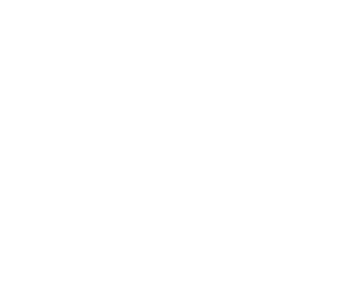 The game's ship